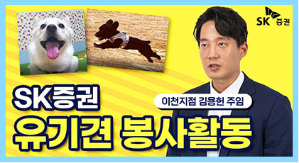  유기동물보호 봉사활동  사진